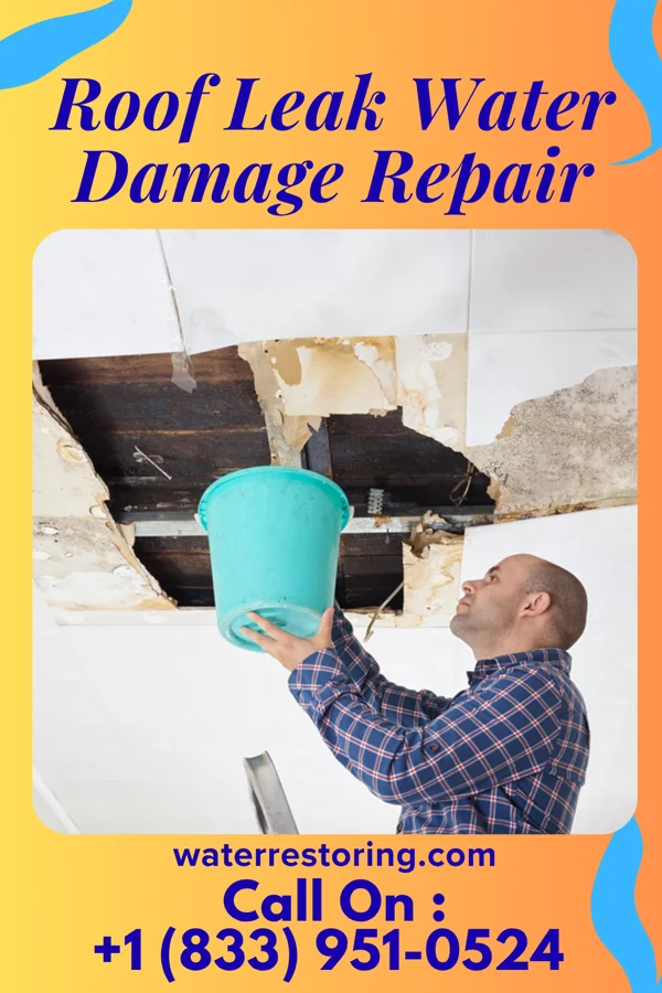 Roof Leak Water Damage Repair in Milford, UT